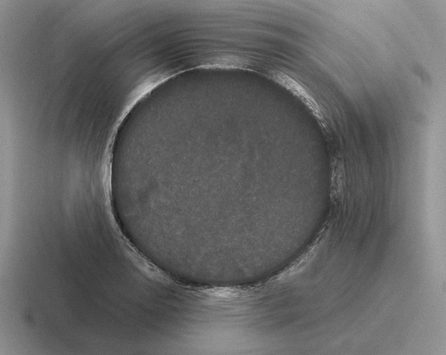 X0000116441130201001051159