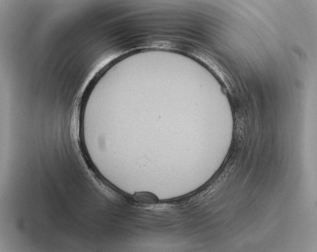 X0000116441131201001051159