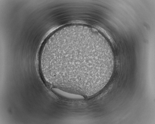 X0000116441133201001051159