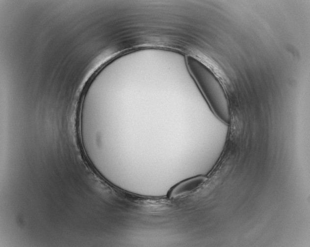 X0000116441138201001051200