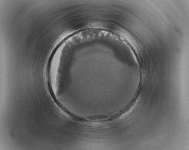 X0000116441141201001051200