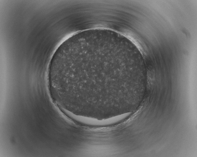 X0000116441142201001051200