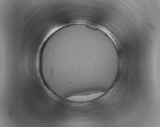 X0000116441147201001051200