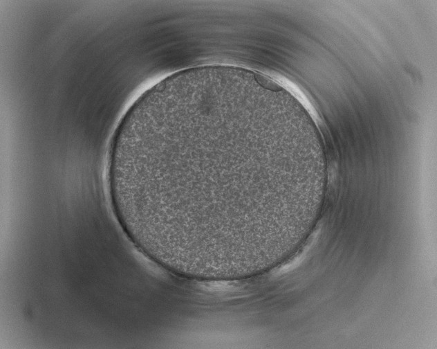 X0000116441149201001051200