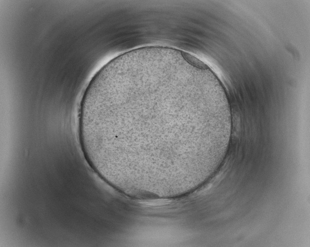 X0000116441151201001051200