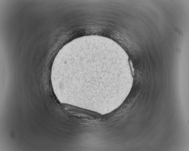 X0000116441153201001051159