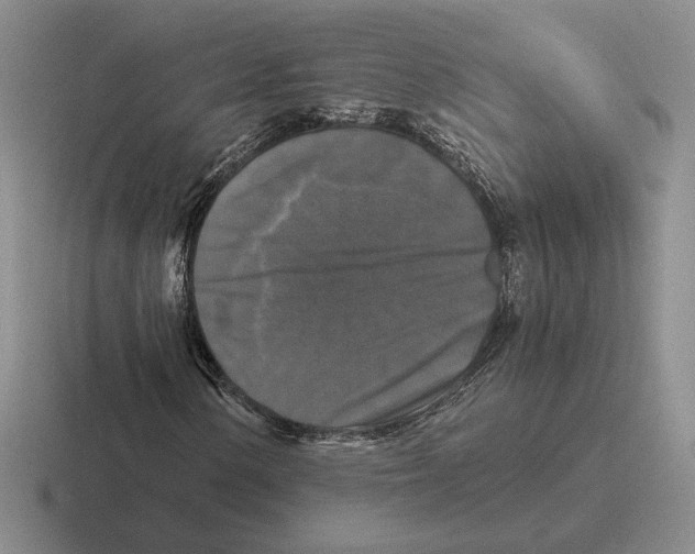 X0000116441154201001051159