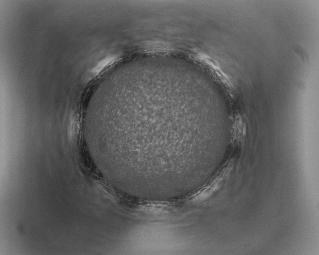 X0000116441157201001051159