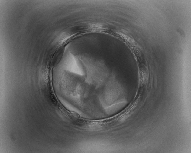 X0000116441161201001051159