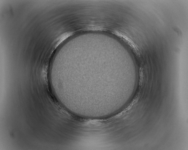 X0000116441162201001051159