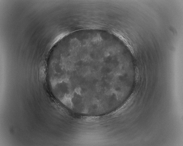 X0000116441163201001051159