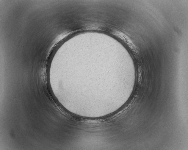 X0000116441164201001051159