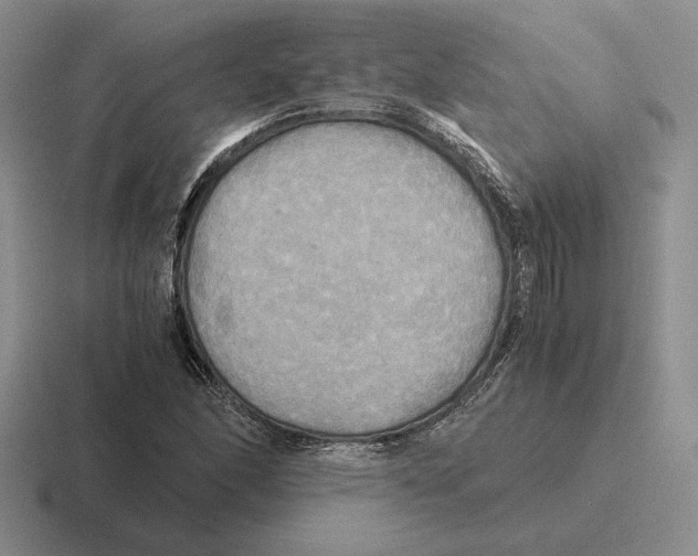 X0000116441166201001051159