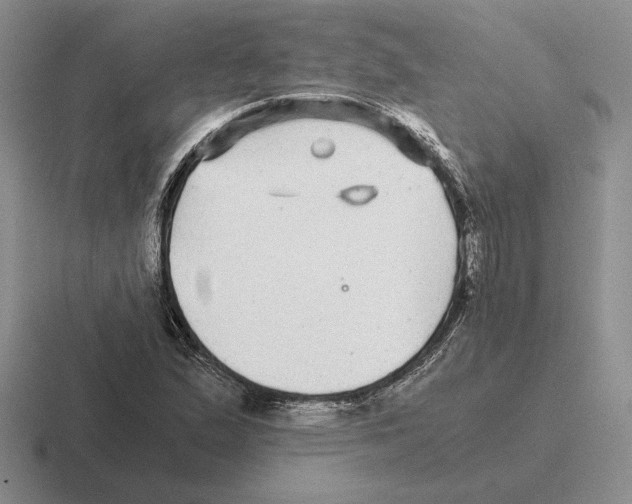 X0000116441167201001051159