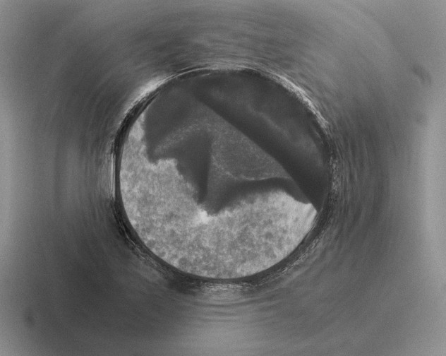 X0000116441171201001051159