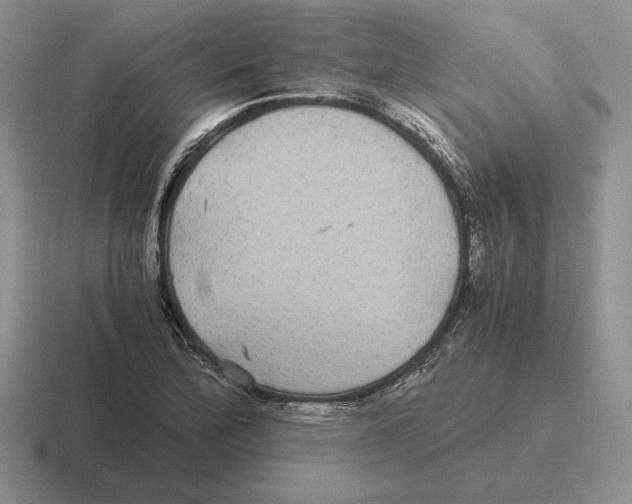 X0000116441172201001051159