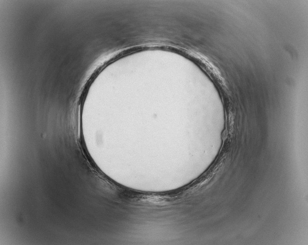 X0000116441175201001051159