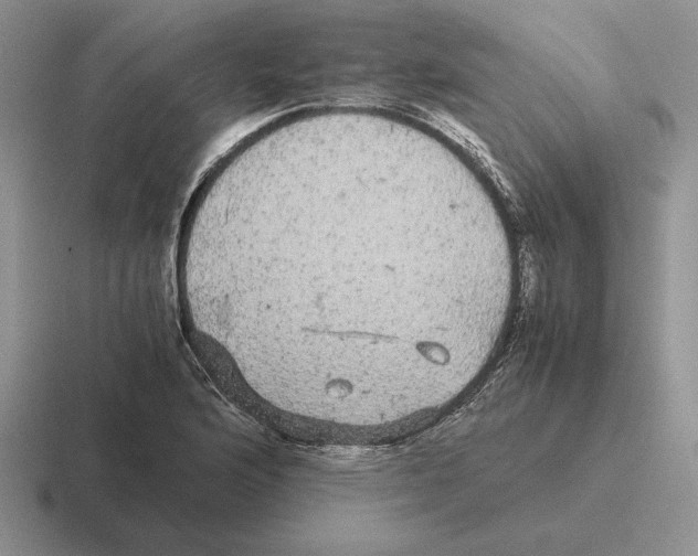 X0000116441176201001051159