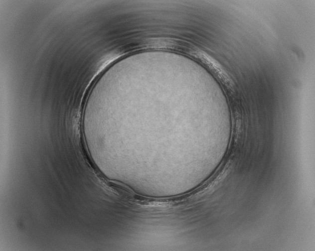 X0000116441178201001051159