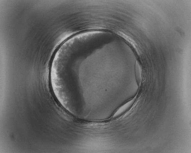 X0000116441179201001051159