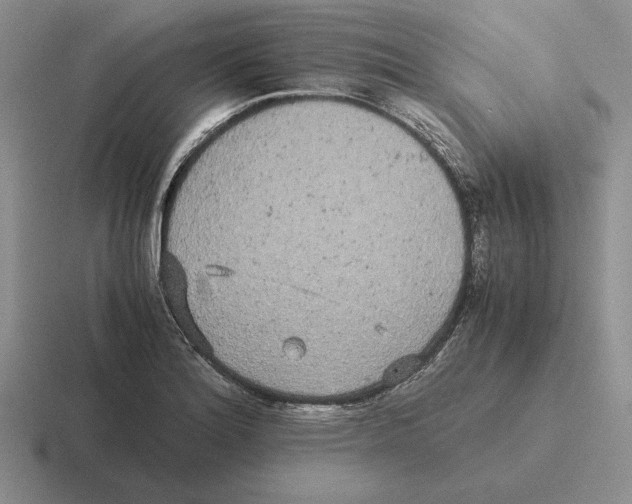 X0000116441180201001051159