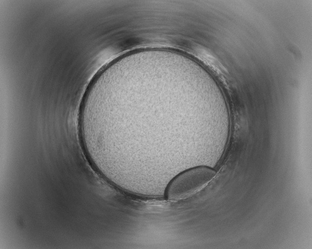 X0000116441181201001051159