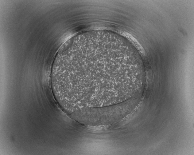 X0000116441185201001051159