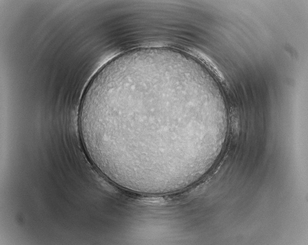 X0000116441186201001051159