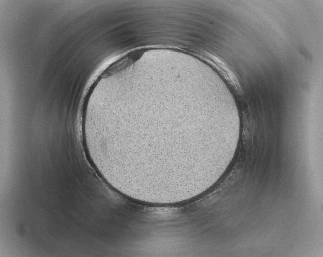 X0000116441188201001051159