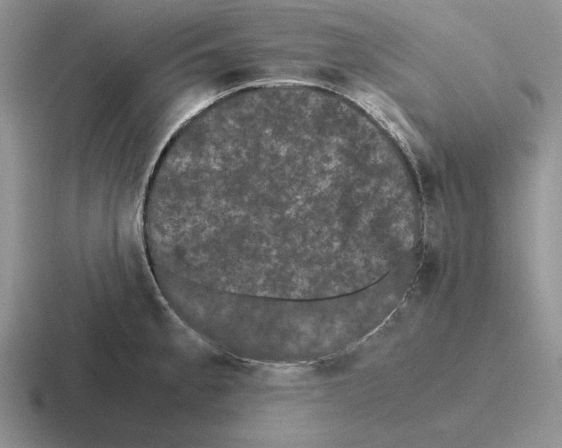 X0000116441189201001051159