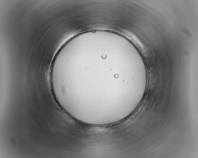 X0000116441190201001051159