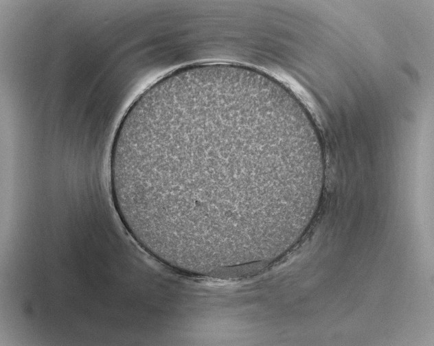 X0000116441191201001051159