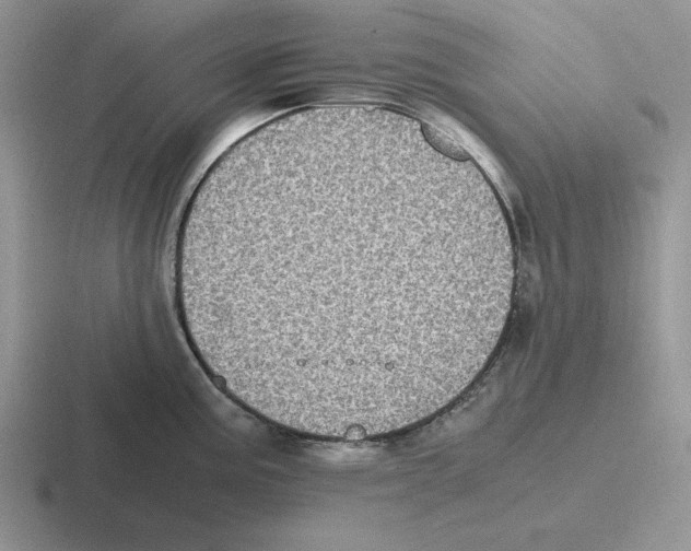 X0000116441195201001051159