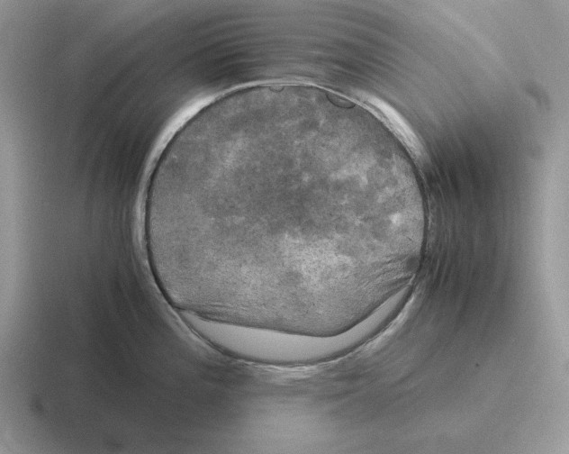 X0000116441196201001051159