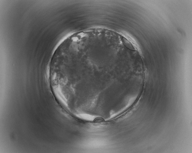 X0000116441198201001051159