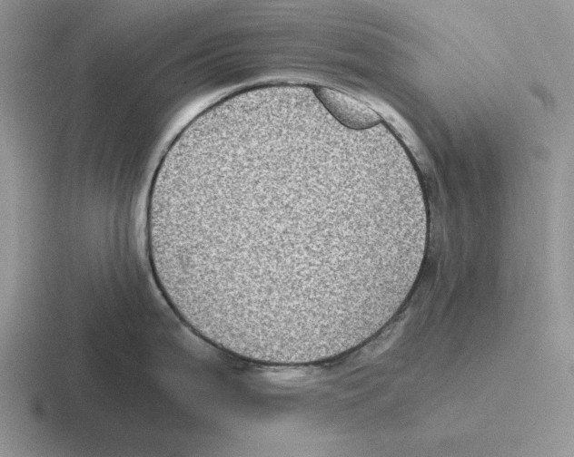 X0000116441199201001051159