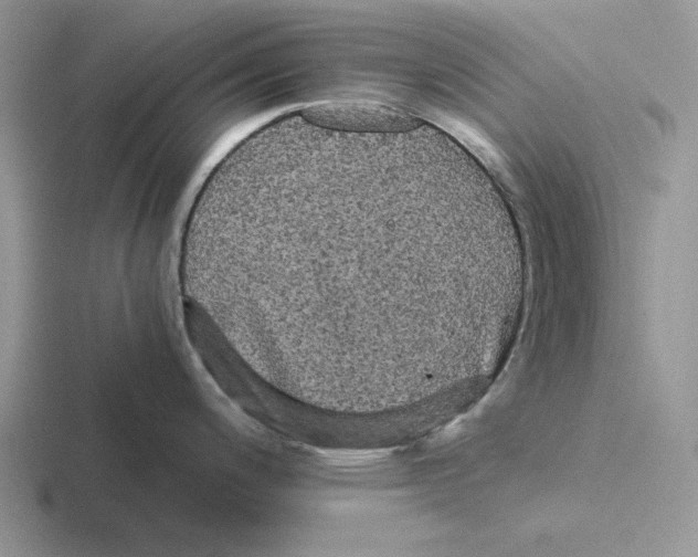 X0000116441200201001051159