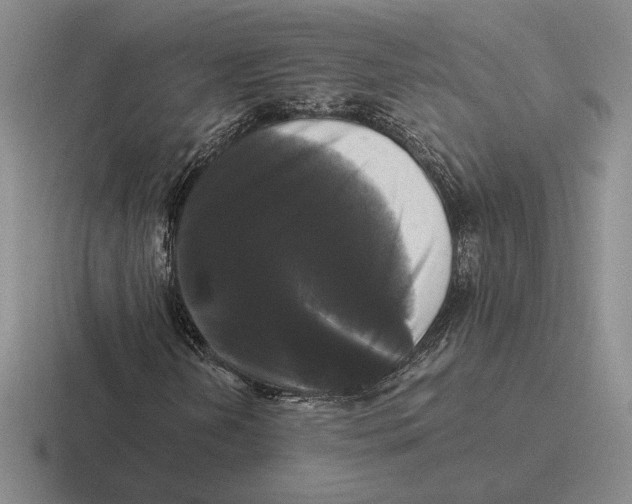 X0000116441202201001051158