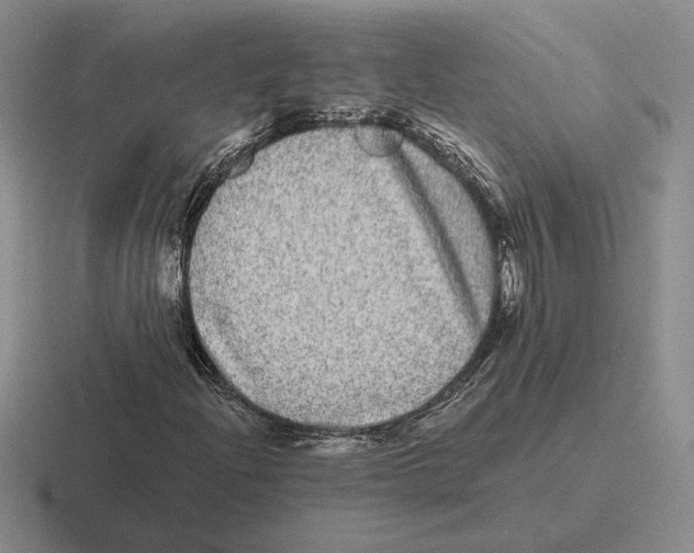 X0000116441204201001051158