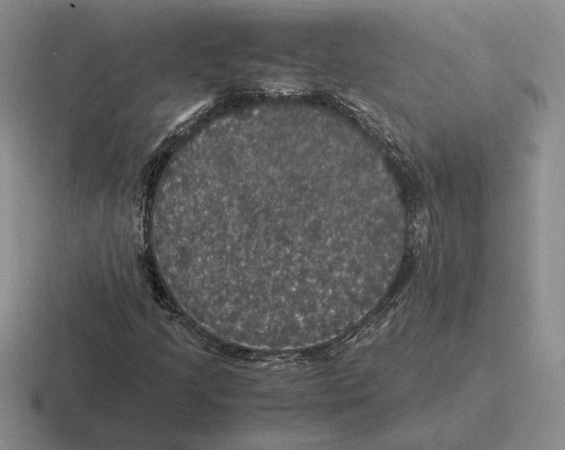 X0000116441205201001051158