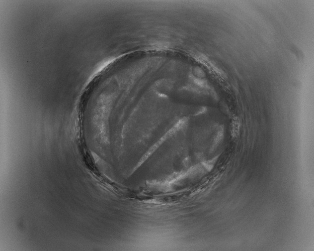 X0000116441208201001051158