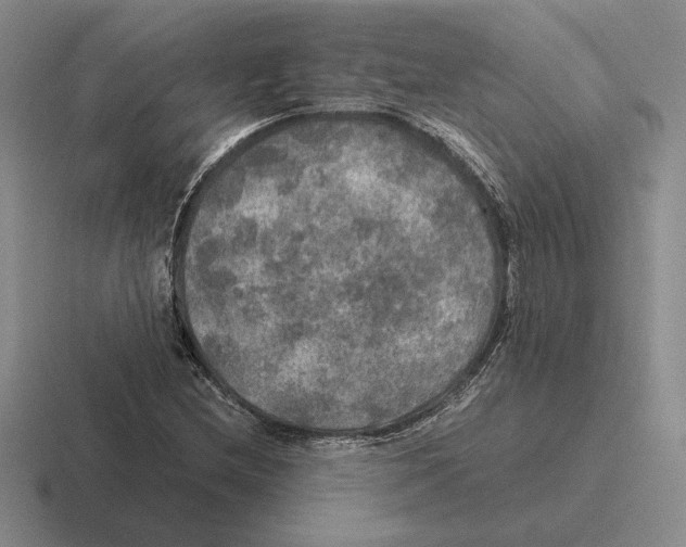 X0000116441212201001051158