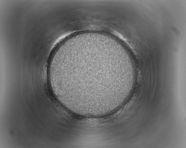 X0000116441214201001051158