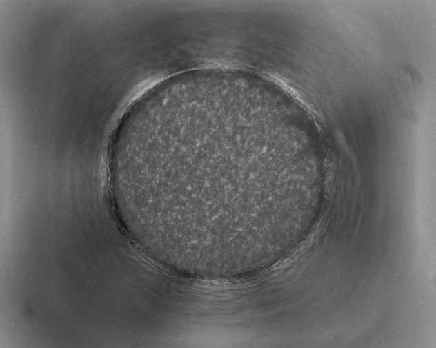 X0000116441215201001051158