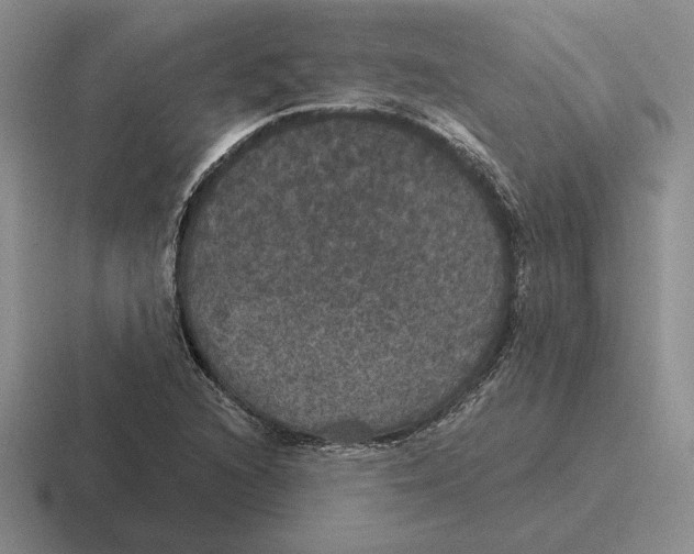 X0000116441216201001051158