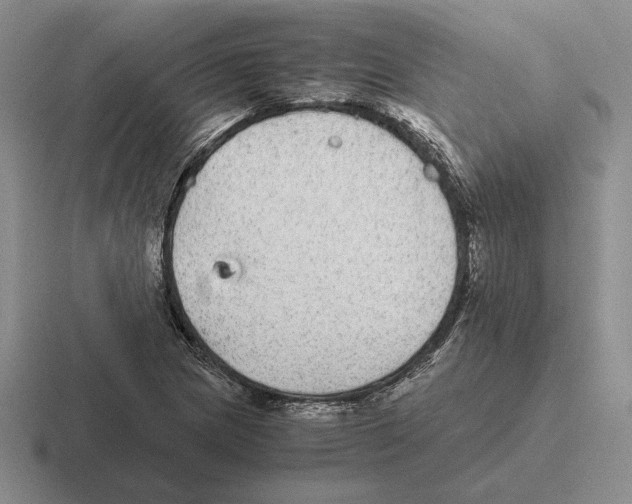 X0000116441217201001051158