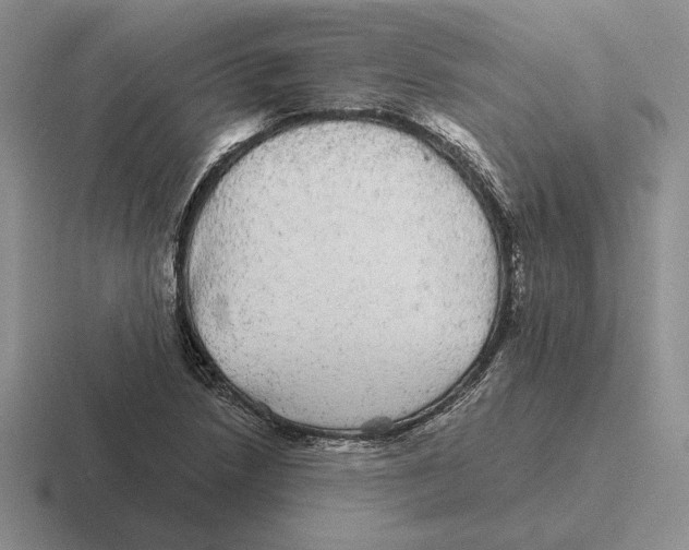 X0000116441218201001051158