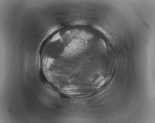 X0000116441219201001051158