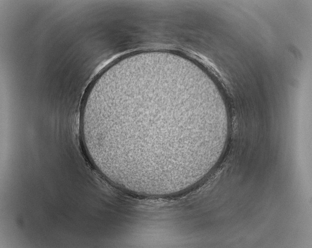 X0000116441220201001051158