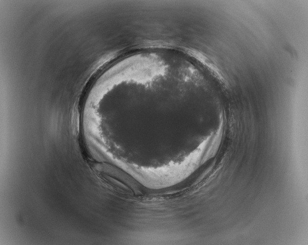 X0000116441221201001051158